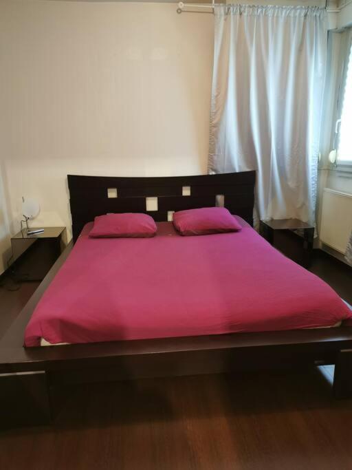 Appartement Cosy A 10 Min Du Centre De Strasbourg Ngoại thất bức ảnh